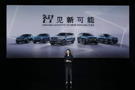 2021成都车展 | 黑白MONO限量版与林肯冒险家插混车型亮相图片