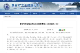 山东泰安报告1例境外输入确诊病例 曾乘坐G138次列车图片