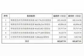 格力电器18亿拍得银隆30%股权 真抄底还是烫手山芋？图片