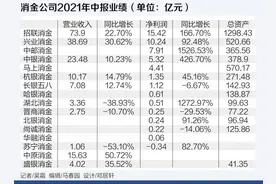 16家消金公司半年业绩出炉，中邮消金净利润翻15倍图片