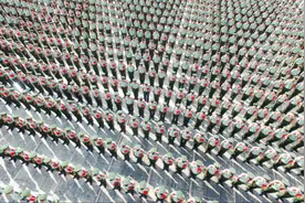 含泪告别！直击武警广东总队机动支队500名战士退役现场图片