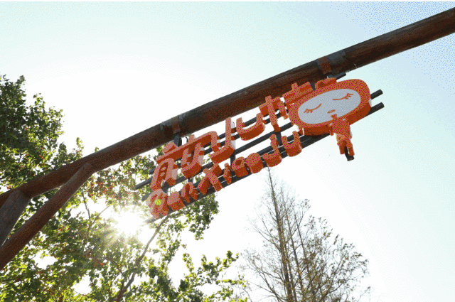 前小桔农场，国庆精彩内容大放送