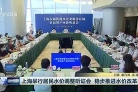 上海举行居民水价调整听证会  稳步推进水价改革视频封面