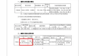 突发利空！29万股东难眠，1600亿半导体巨头拟被大基金减持8958万股，网友炸锅：“刚加仓，明天跌停？”图片