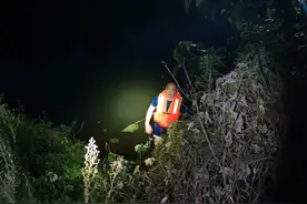 株洲5人组团野钓，有人被鱼“拖入”水中，抱着一棵树近一个小时无奈求助消防图片