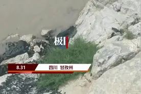 重庆4人自驾游失联7天，疑坠入金沙江，搜救暂无结果视频封面