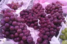 就是现在！甜蜜多汁的葡萄，你更爱吃哪种？图片