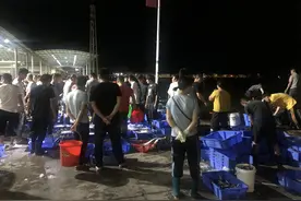 凌晨4点的汕尾：鱼在跳，人在笑图片