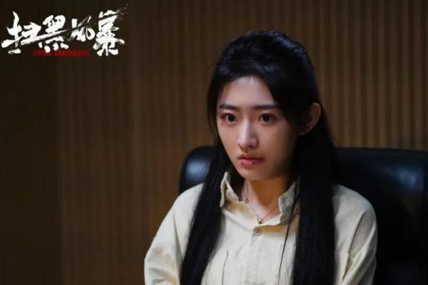 徐英子资料（扫黑风暴中全民心疼的徐英子）