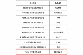 2021年广东十大茗茶出炉，梅州6款茶叶上榜图片