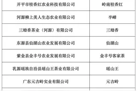 2021年广东十大茗茶出炉，梅州6款茶叶上榜图片