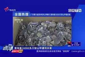 全国热搜：广东警方查获8吨穿山甲鳞片 意味着16000只穿山甲遭杀害视频封面