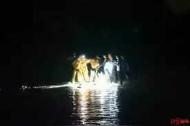 16岁少年因宠物仓鼠死亡跳河欲轻生 4名消防员合力将他救起图片