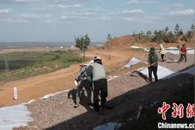 通讯：“乌金”变“绿金”内蒙古采煤沉陷区修复记图片