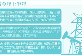 绿色多元能源供给体系正在形成图片