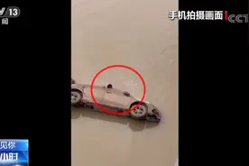 他是一个湖北人图片