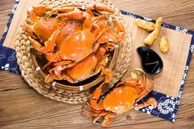 浙江的三门青蟹，以后可能要从马来西亚和莫桑比克进口？图片