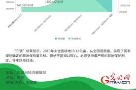 数据图解丨坚持最严格的耕地保护制度 守牢18亿亩耕地红线图片
