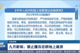 9月1日起，农村土地新规实施，禁止擅自在耕地上建房、挖砂等视频封面