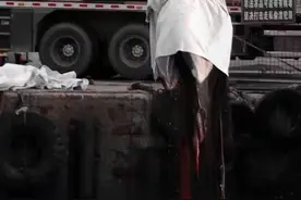 深圳海域发现国家一级重点保护野生动物布氏鲸尸体，疑似63天前进入大鹏湾 此前曾设临时管控区图片