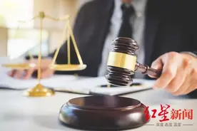 4岁女童小区内逆向爬滑梯高坠受伤：玩伴有蹬腿动作，其父母被判担责四成赔4万余元图片