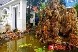 泌阳：“石头小院”引客来图片