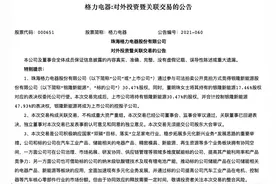 格力电器斥资18亿收购银隆 董明珠给自己解套还债还是多元化发展？图片