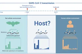 重要证据！最新科学发现再次支持新冠病毒自然起源图片