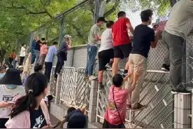 开学第一天，家长们的统一姿势笑翻了图片