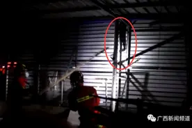 为了偷鸡吃，一条27斤大蟒蛇爬上三楼民居图片