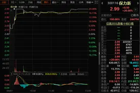 保力新“20厘米”涨停激活“白菜股”，低价股指数突破历史新高图片