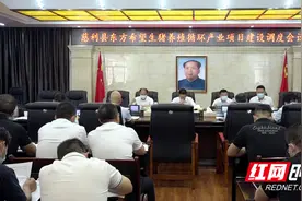 慈利东方希望生猪养殖循环产业项目建设调度会召开图片