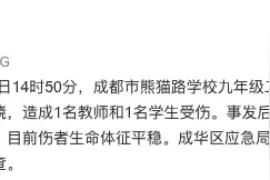 成都熊猫路中学一班级化学实验发生酒精外溢燃烧，2人受伤图片