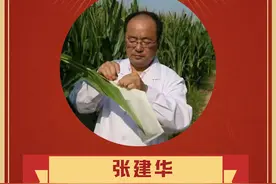 海报 | 致敬最美科技工作者图片