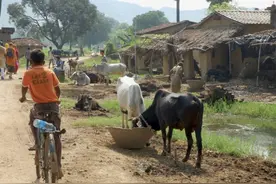 又出“奇葩证明”丑闻！印度基层官员涉嫌伪造村民死亡，骗取国家补偿金图片