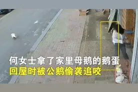 9月2日 | 新早读！腾讯视频爱奇艺都改了图片