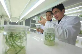 在寿光，看见中国蔬菜产业未来图片