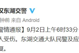 武汉交警：东湖隧道内一面包车翻车，目前交通已恢复图片
