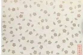 别翻书！马上告诉我，古人都用哪些植物造纸？图片