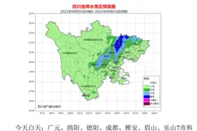 刷脸上地铁！成都地铁“智慧票务”上线丨早读四川图片