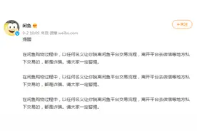 闲鱼回应团伙卖二手苹果机诈骗141万图片