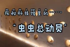 探秘科技馆里的“虫虫总动员”视频封面