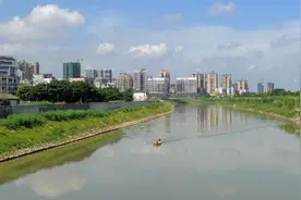 惠州淡水河重现清波“阔别”多年蓝刀鱼回来了图片
