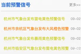 打雷了！杭州发布暴雨+雷电黄色预警图片