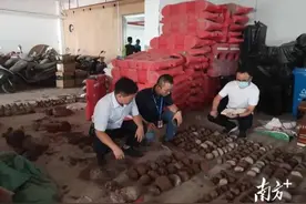 广东一制毒窝点发现542枚恐龙蛋化石，已交由相关机构图片