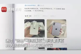 团伙在闲鱼低价卖二手苹果手机诈骗141万，闲鱼回应：离开平台私下交易的都是诈骗图片