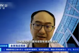 全球多个港口拥堵！海运价格上涨，集装箱船运价飙升至一天10万美元图片