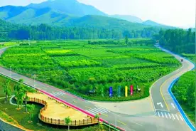 山东临朐：“1号大道”铺就乡村振兴幸福路图片