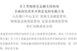 海南允许非居民在自由贸易港购房！89条措施支持海南全面深化改革开放图片