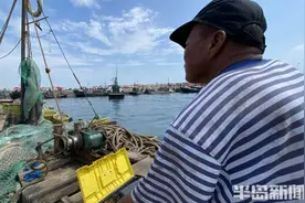 半岛聚焦丨从网捕到上码头仅1小时，最新鲜的“小船海鲜”怎么捕来的？半岛记者随船一探究竟图片